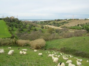 valle fiumaretta